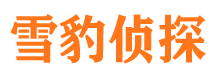 阳高外遇调查取证